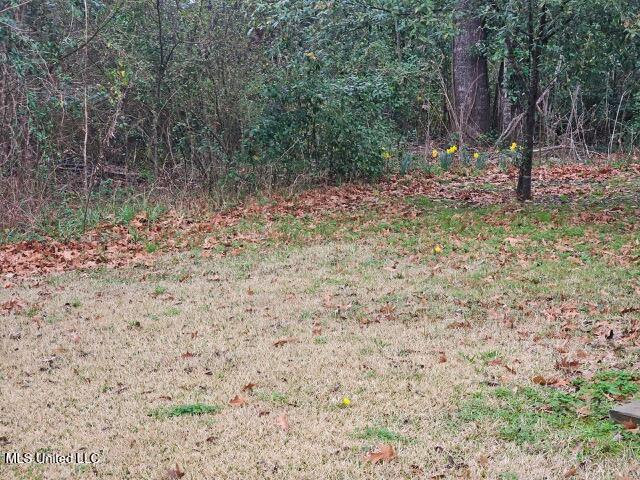 801 Marginal Street, Port Gibson, Mississippi image 16