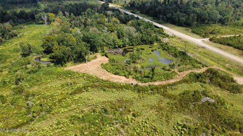 Vacant Land For Sale - Highway 35<br/> Walnut Grove, MS 39189