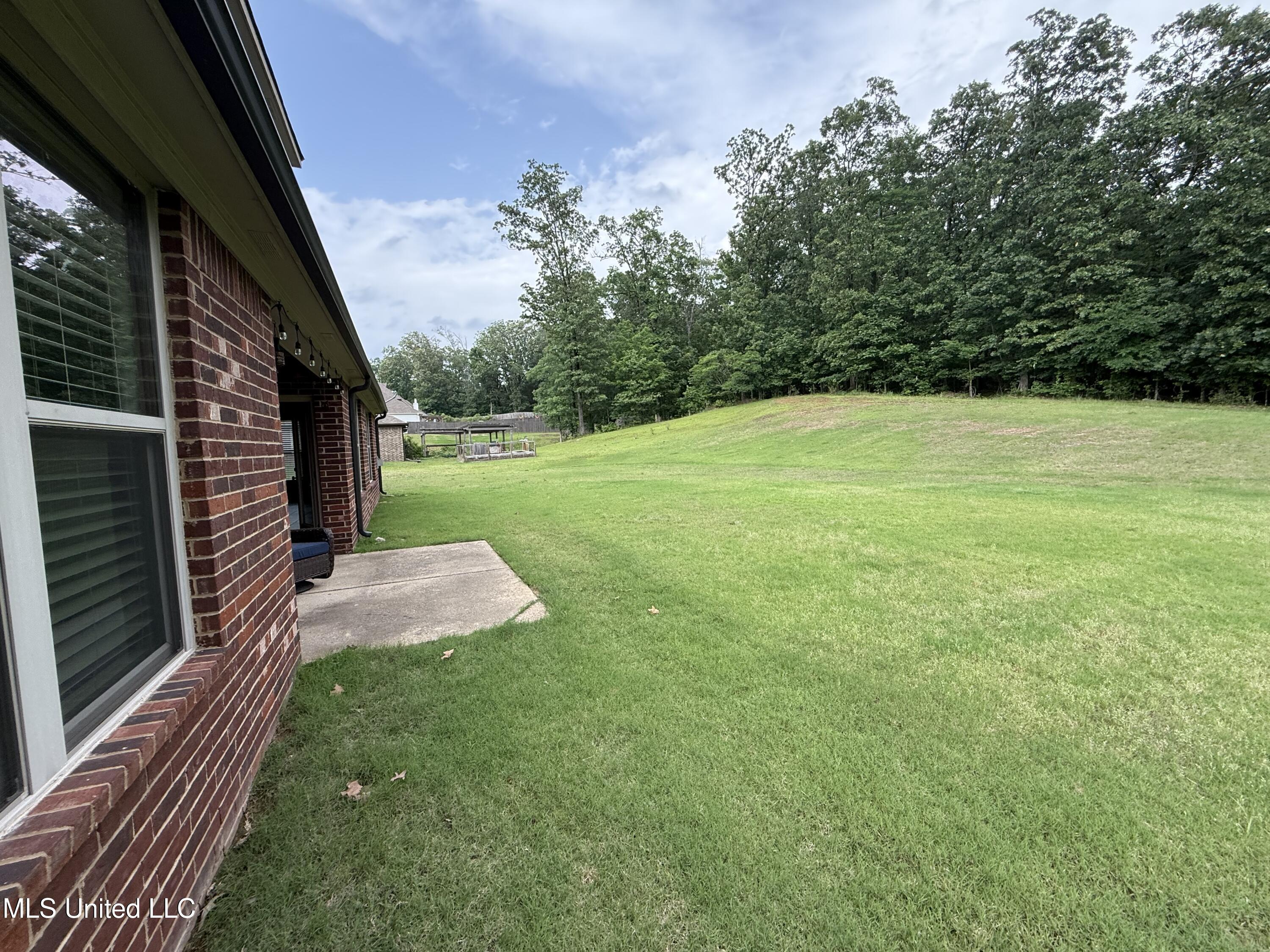 7419 Rose Garden Lane, Olive Branch, Mississippi image 49
