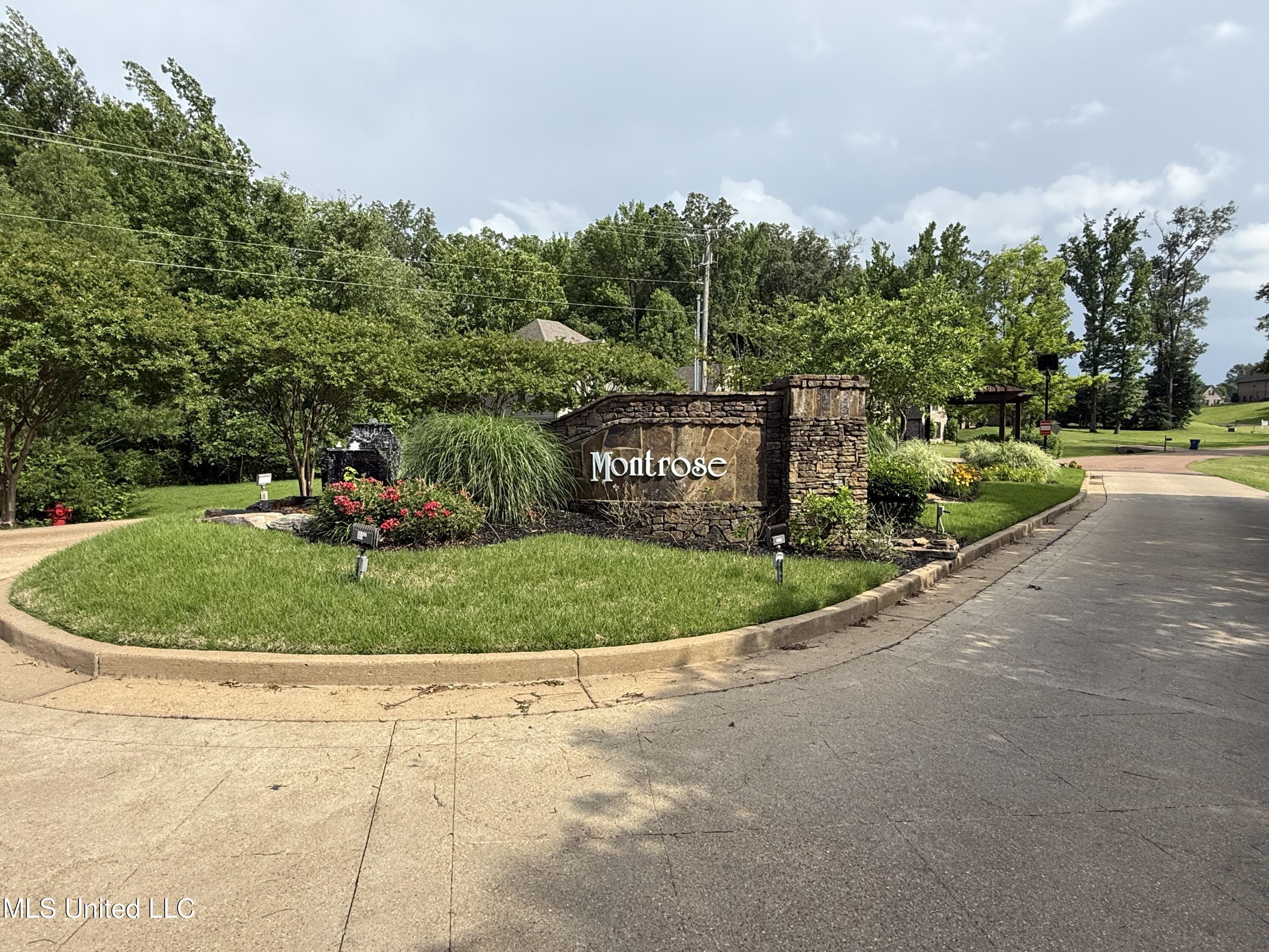 7419 Rose Garden Lane, Olive Branch, Mississippi image 9