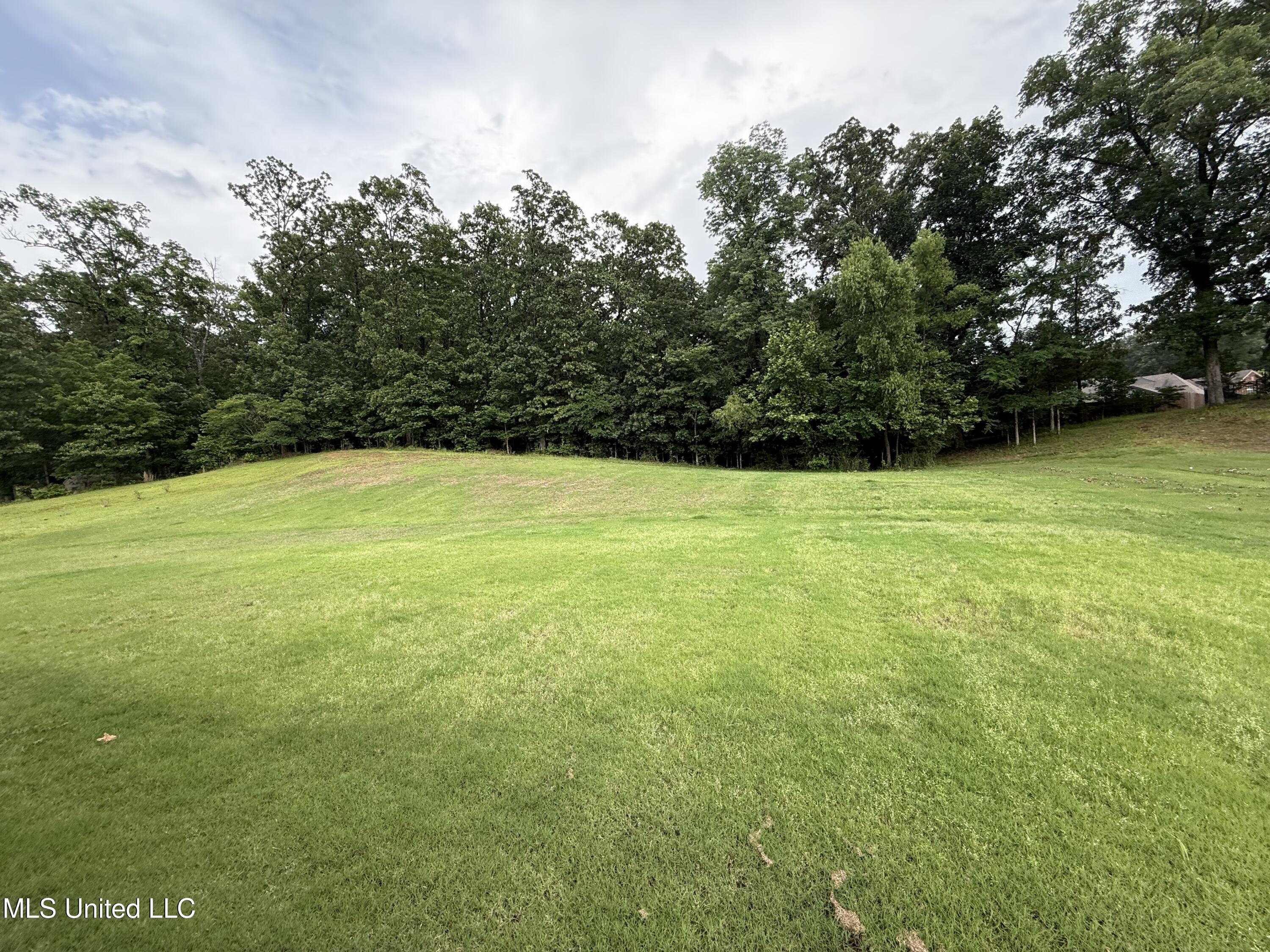 7419 Rose Garden Lane, Olive Branch, Mississippi image 50