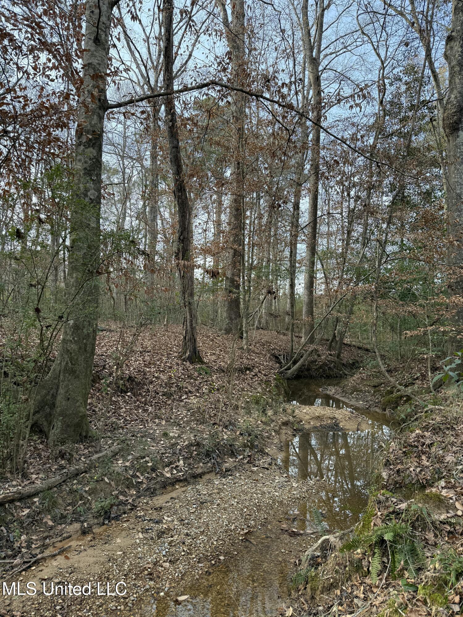 County Line Road, Summit, Mississippi image 8