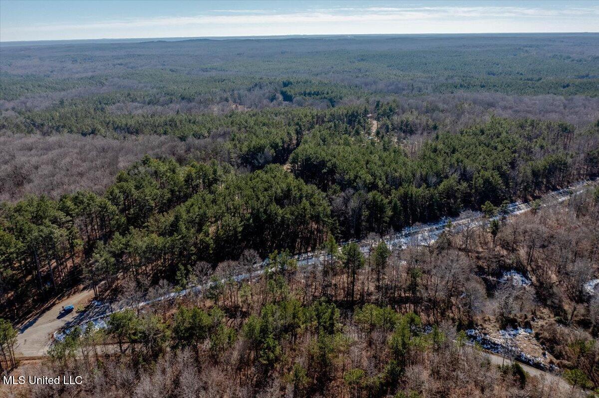 Graves Road, Holly Springs, Mississippi image 7