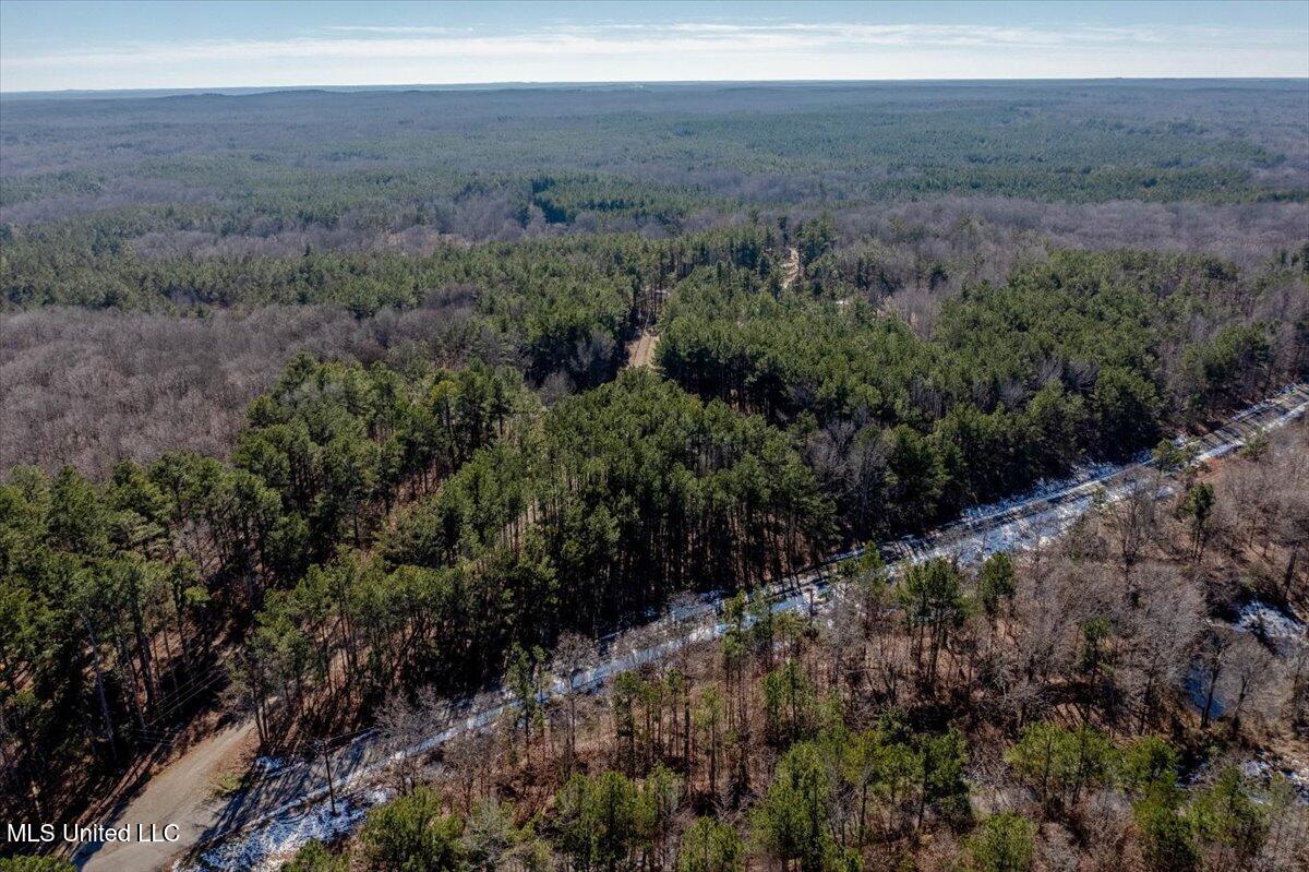 Graves Road, Holly Springs, Mississippi image 8