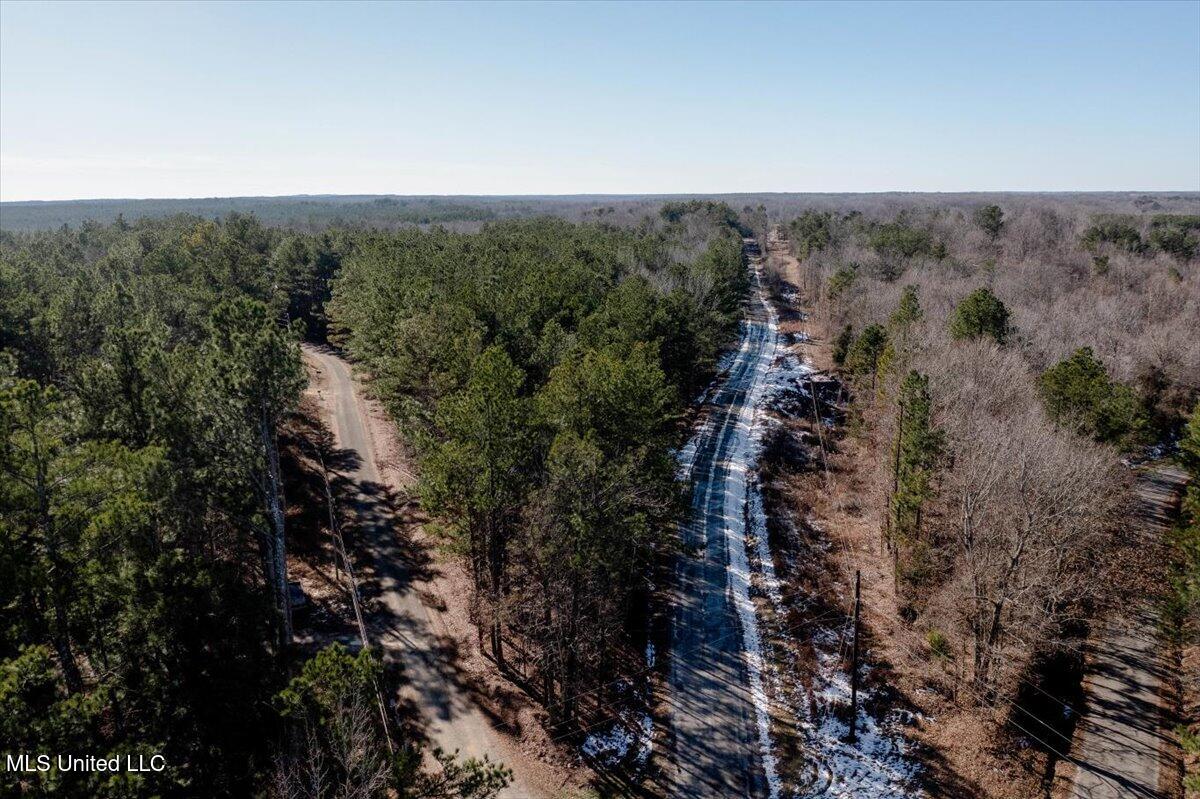 Graves Road, Holly Springs, Mississippi image 3