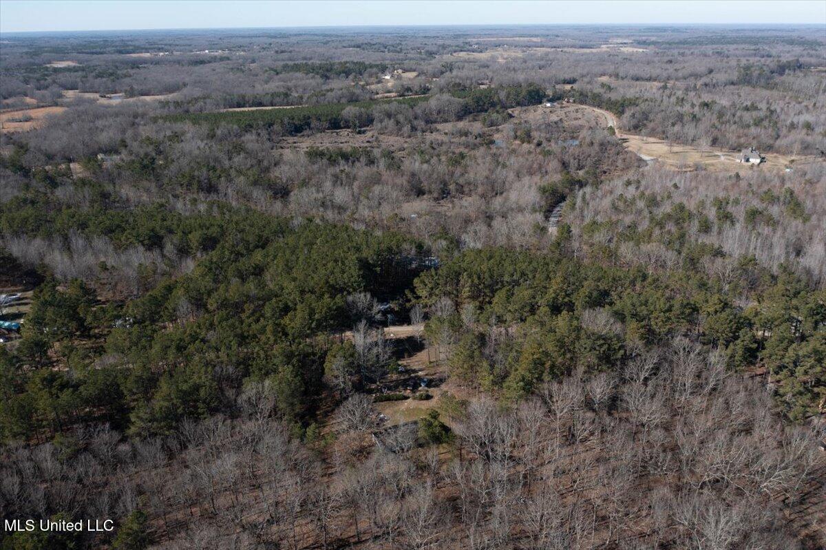 Graves Road, Holly Springs, Mississippi image 5