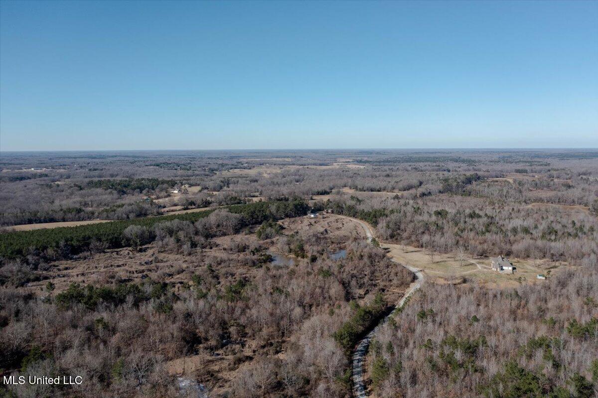 Graves Road, Holly Springs, Mississippi image 4