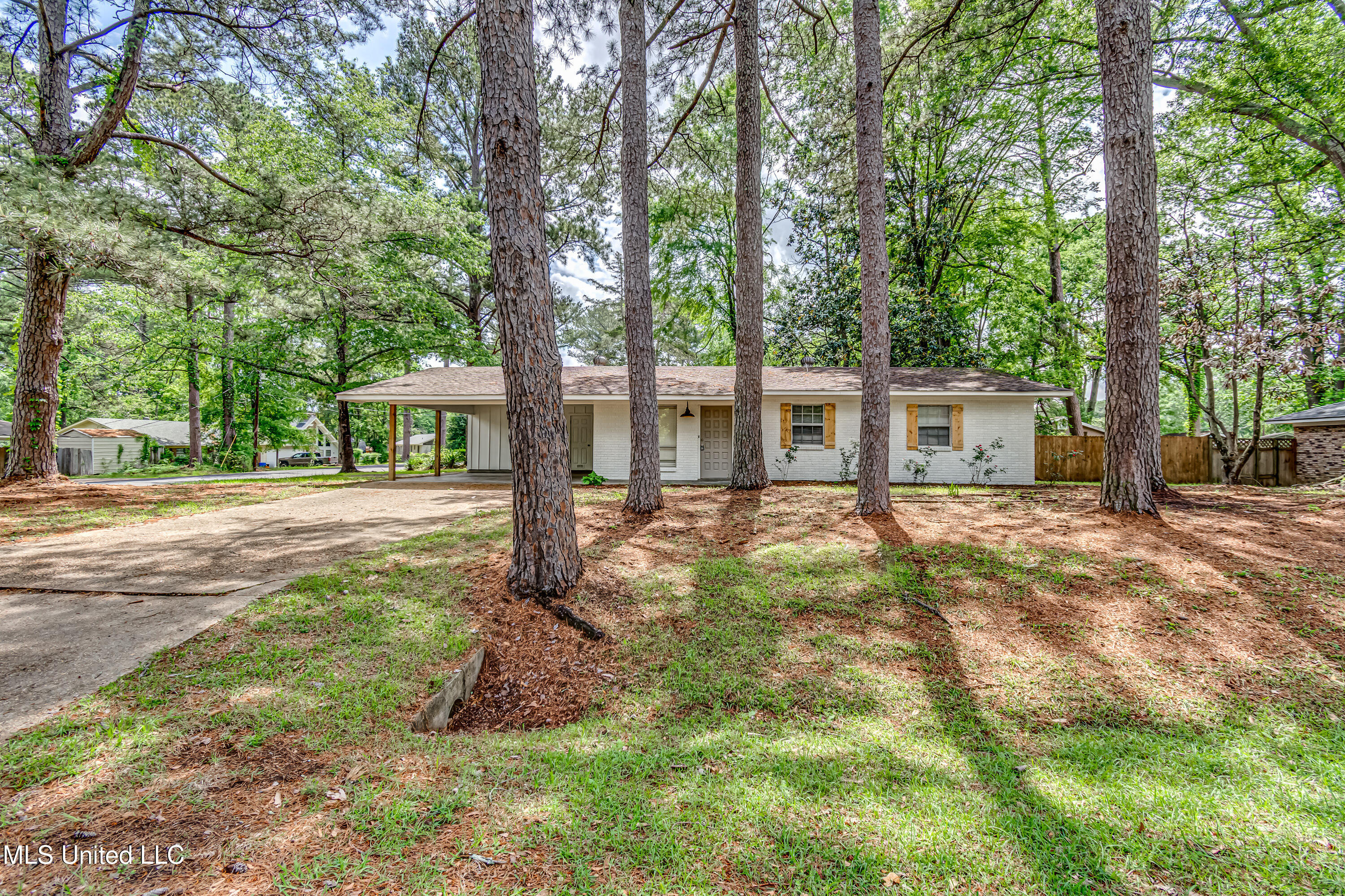 204 Turtle Creek Drive, Brandon, Mississippi image 4