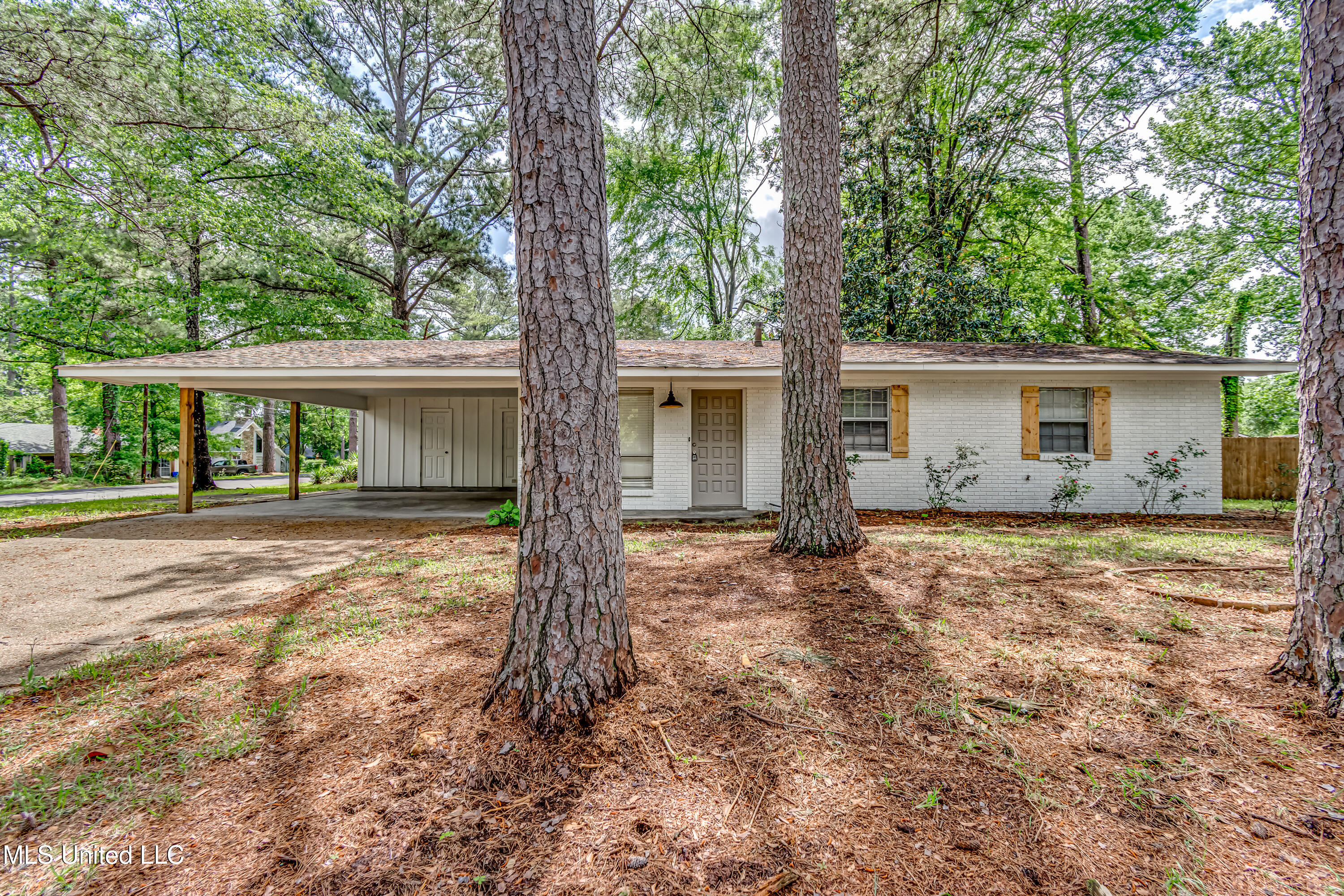 204 Turtle Creek Drive, Brandon, Mississippi image 3