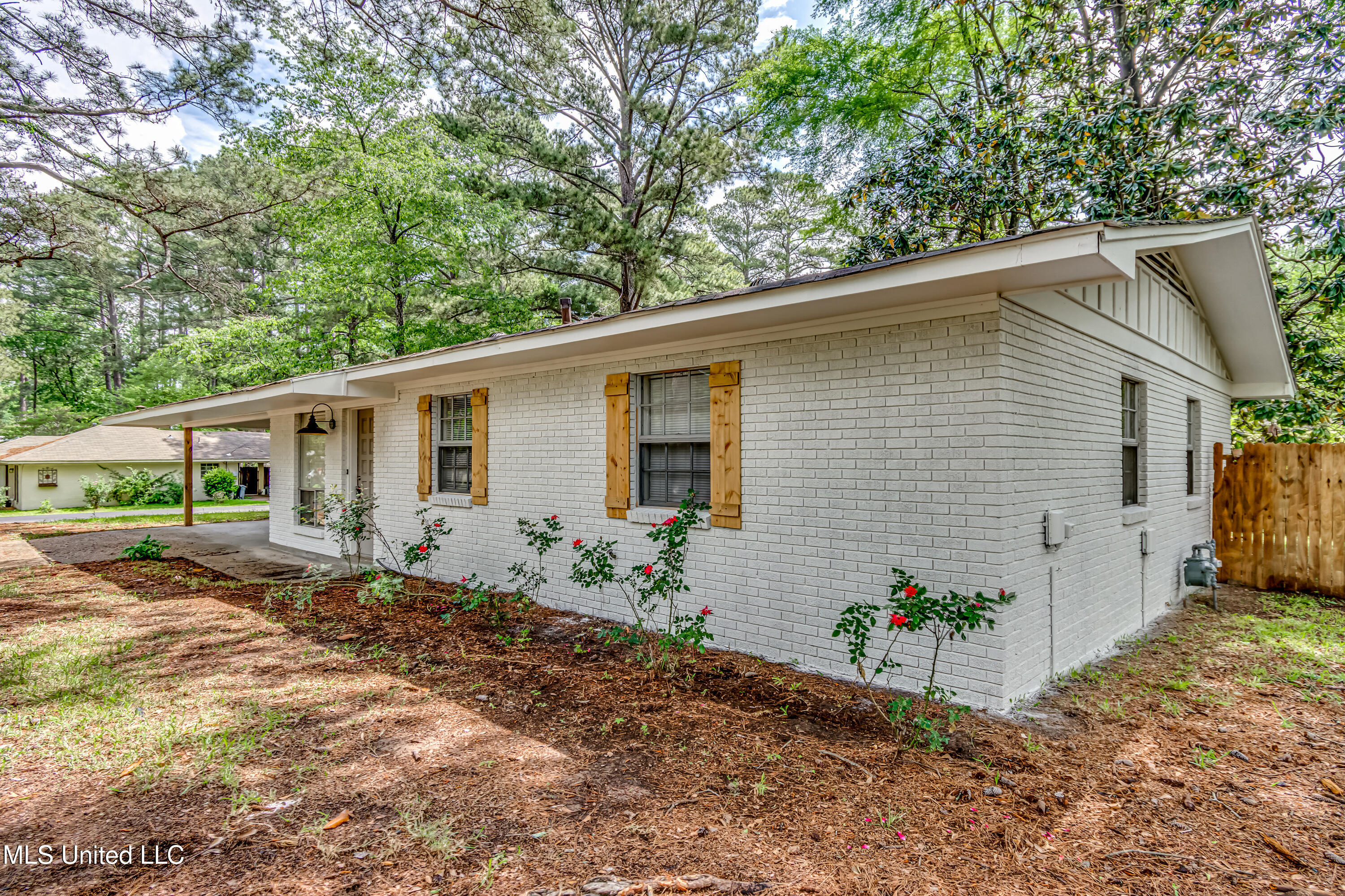 204 Turtle Creek Drive, Brandon, Mississippi image 1