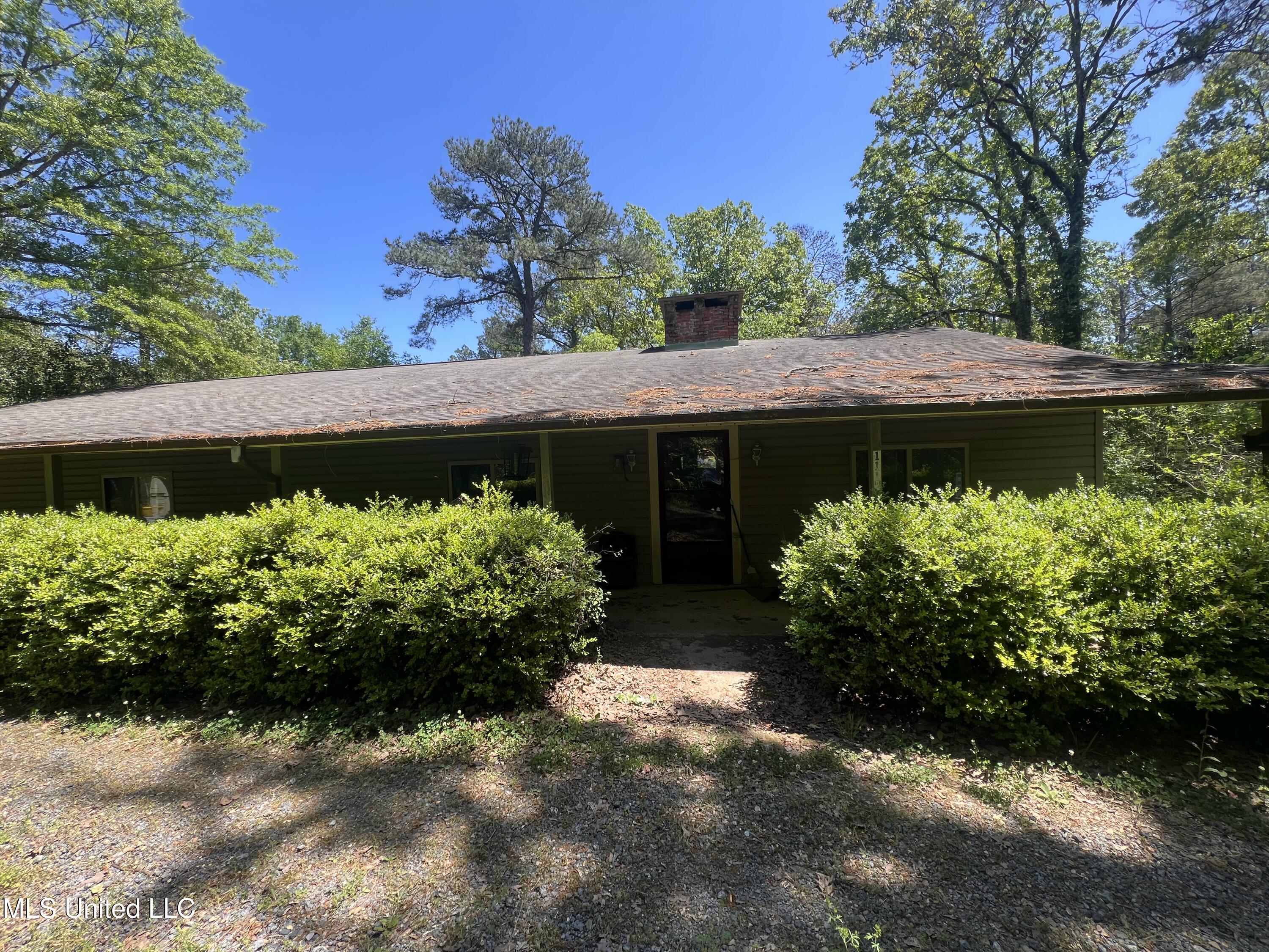 111 W Pittman Cir Cir, Pearl, Mississippi image 1