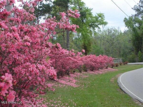 116 E Sunnybrook Road, Carriere, Mississippi image 8