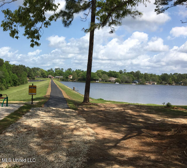 116 E Sunnybrook Road, Carriere, Mississippi image 15