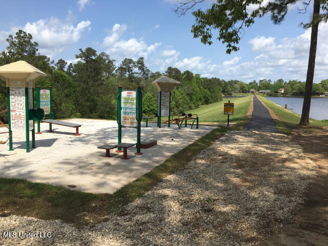116 E Sunnybrook Road, Carriere, Mississippi image 14