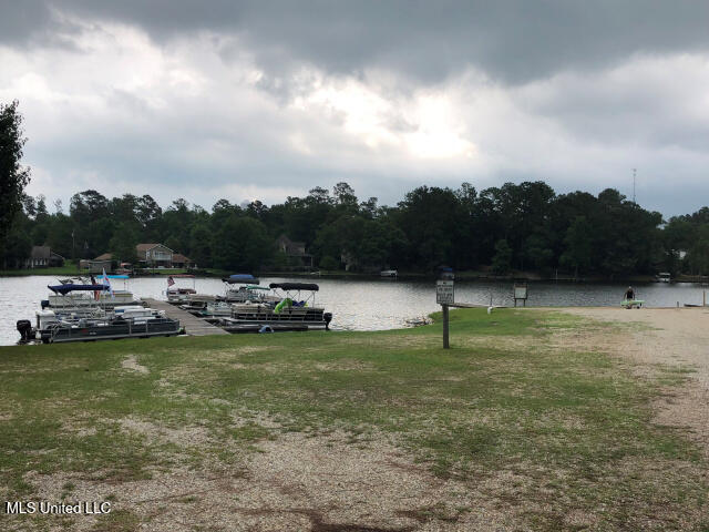 116 E Sunnybrook Road, Carriere, Mississippi image 19