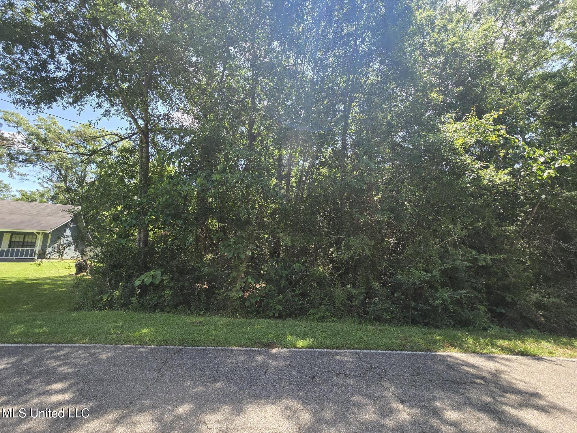 116 E Sunnybrook Road, Carriere, Mississippi image 6