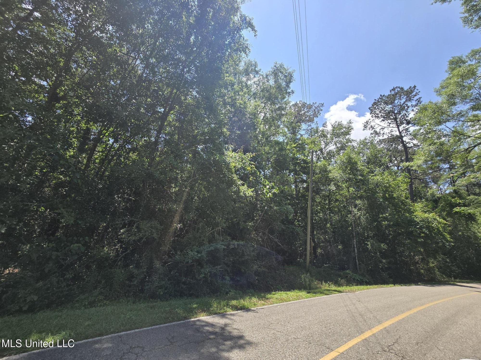 116 E Sunnybrook Road, Carriere, Mississippi image 2