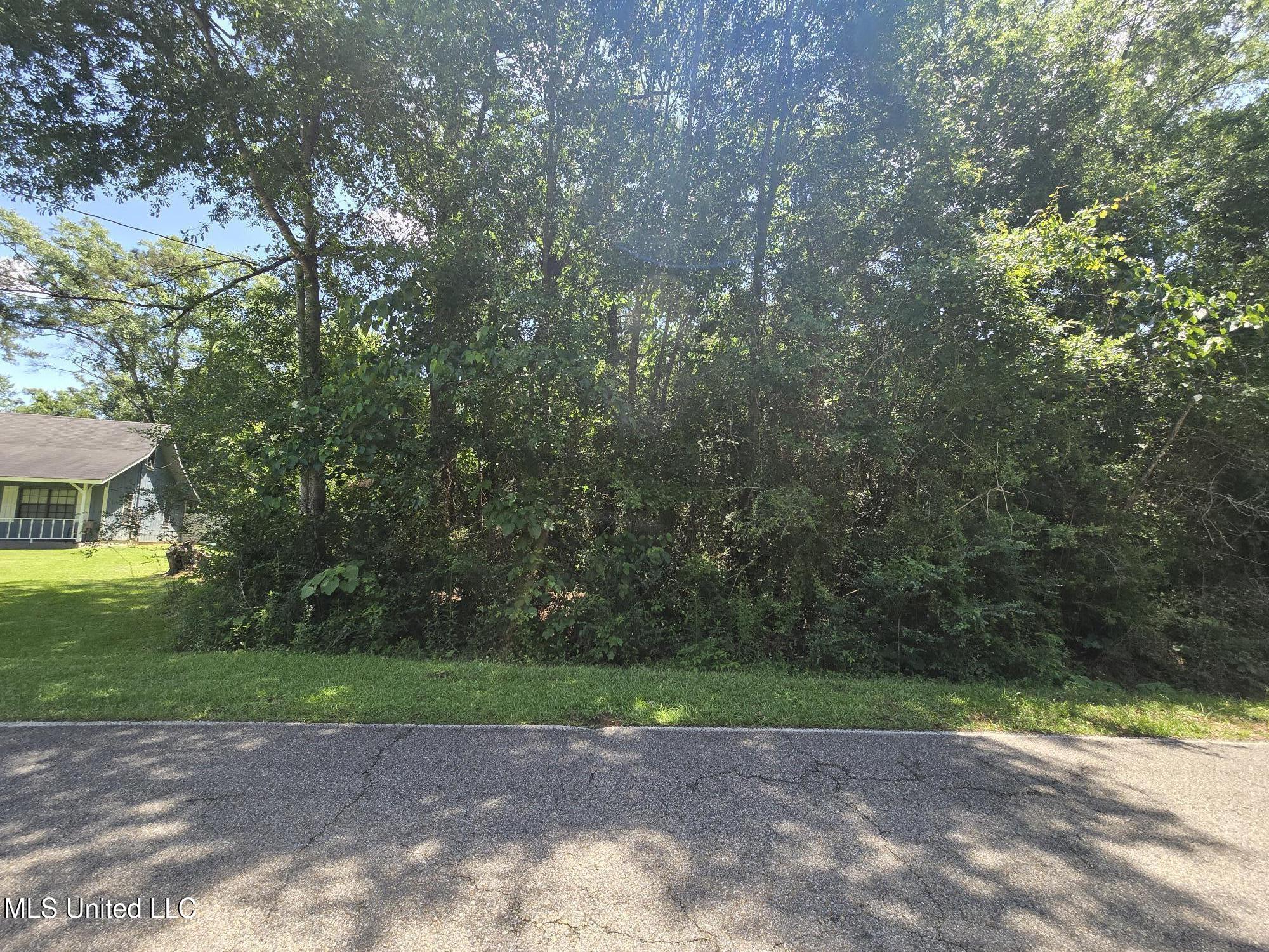 116 E Sunnybrook Road, Carriere, Mississippi image 1