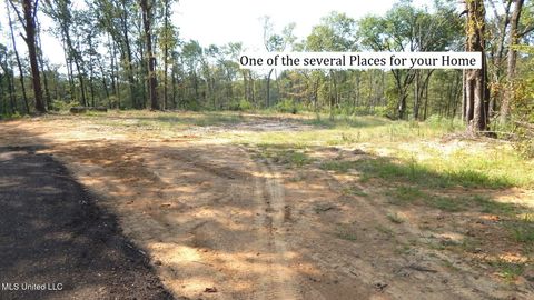 Vacant Land For Sale - 2380 213 Country Road<br/> Grenada County, Grenada, MS 38901