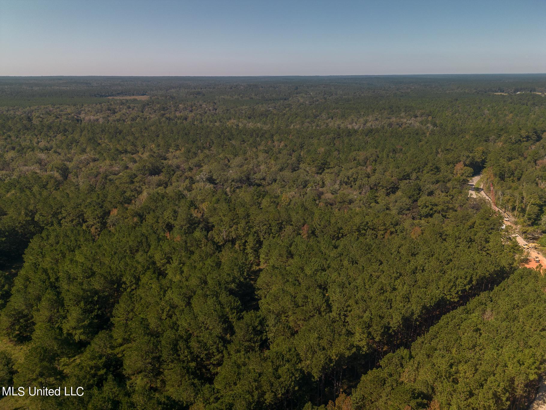 New Hope Road, Wiggins, Mississippi image 8