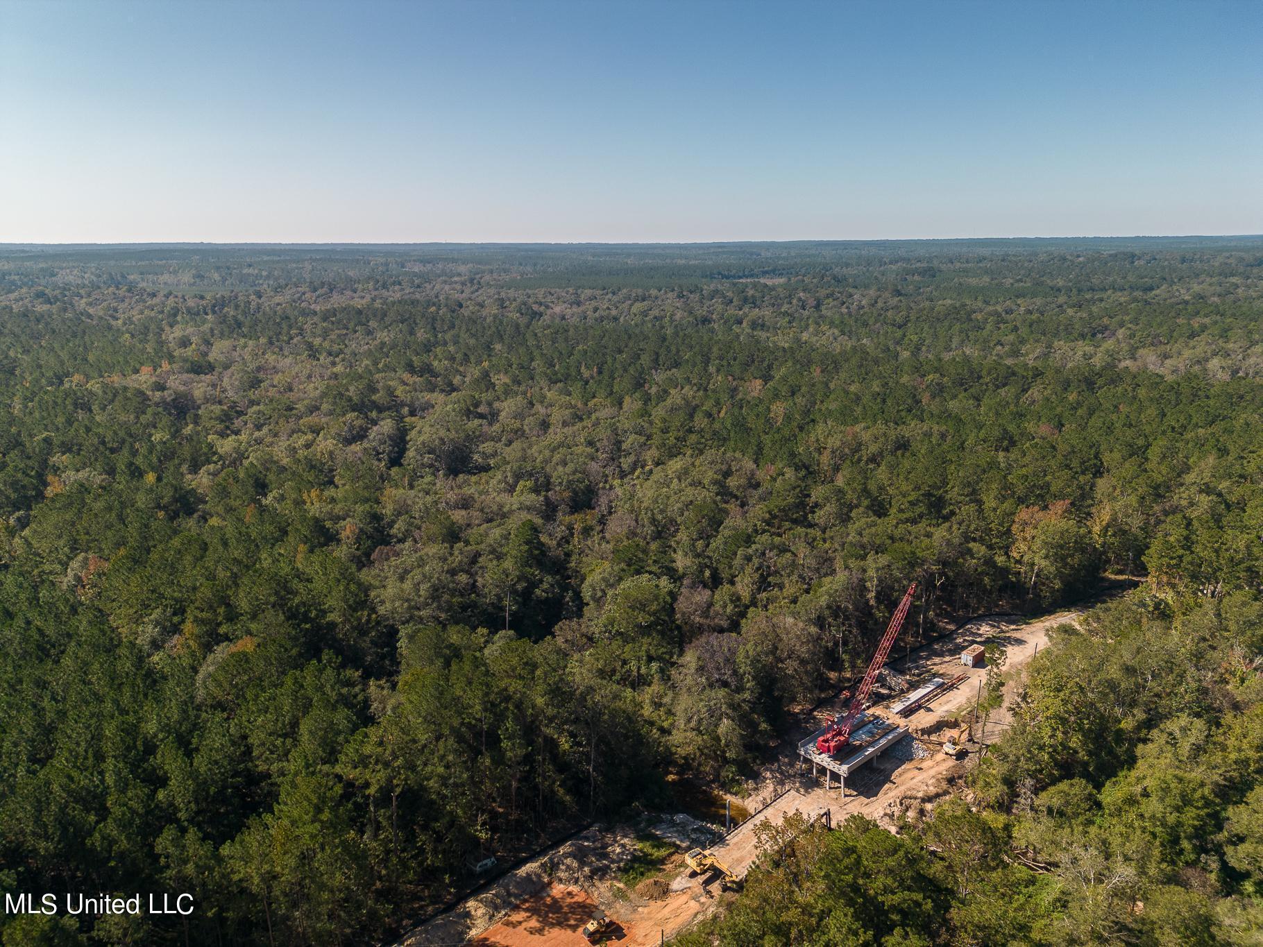 New Hope Road, Wiggins, Mississippi image 9