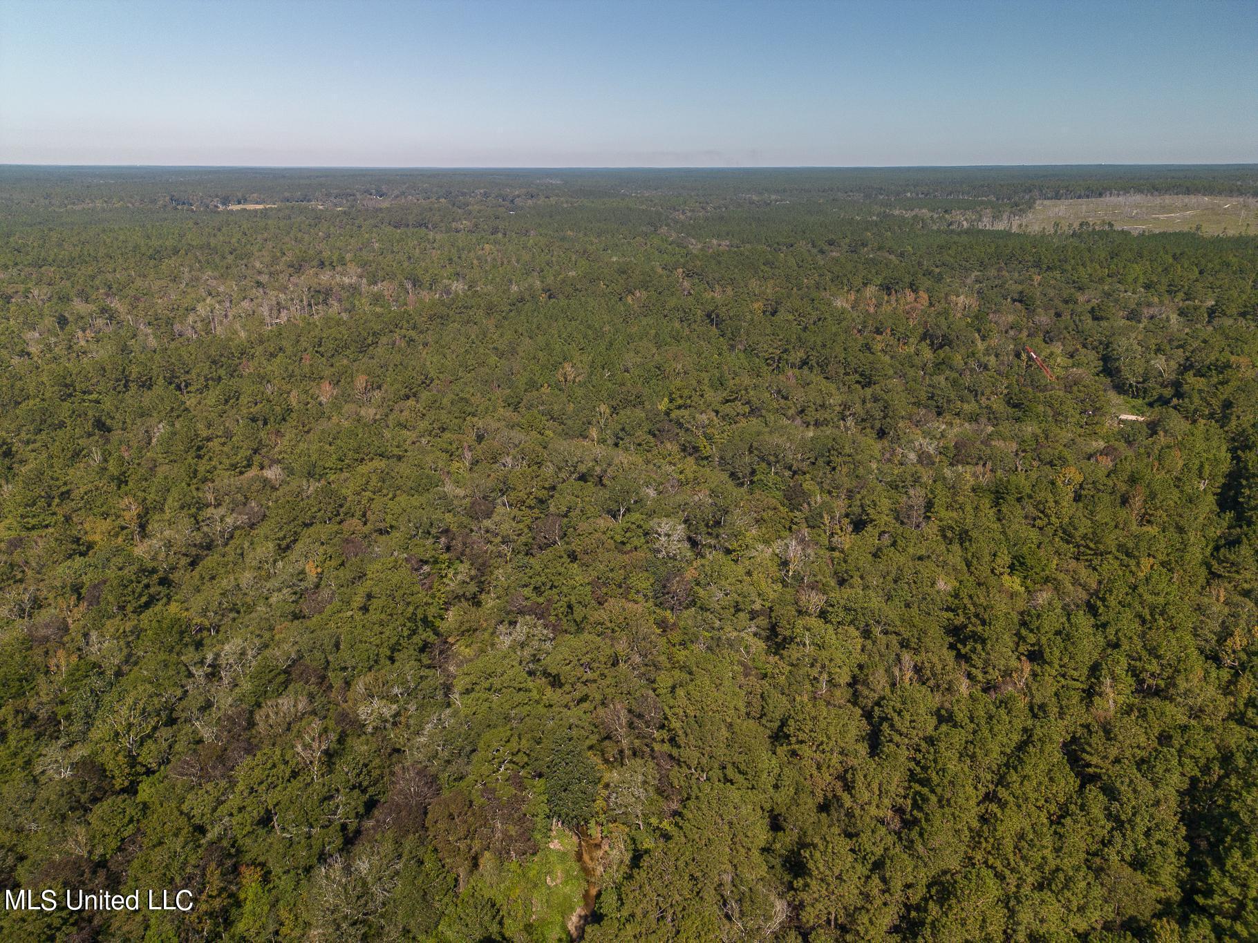 New Hope Road, Wiggins, Mississippi image 2