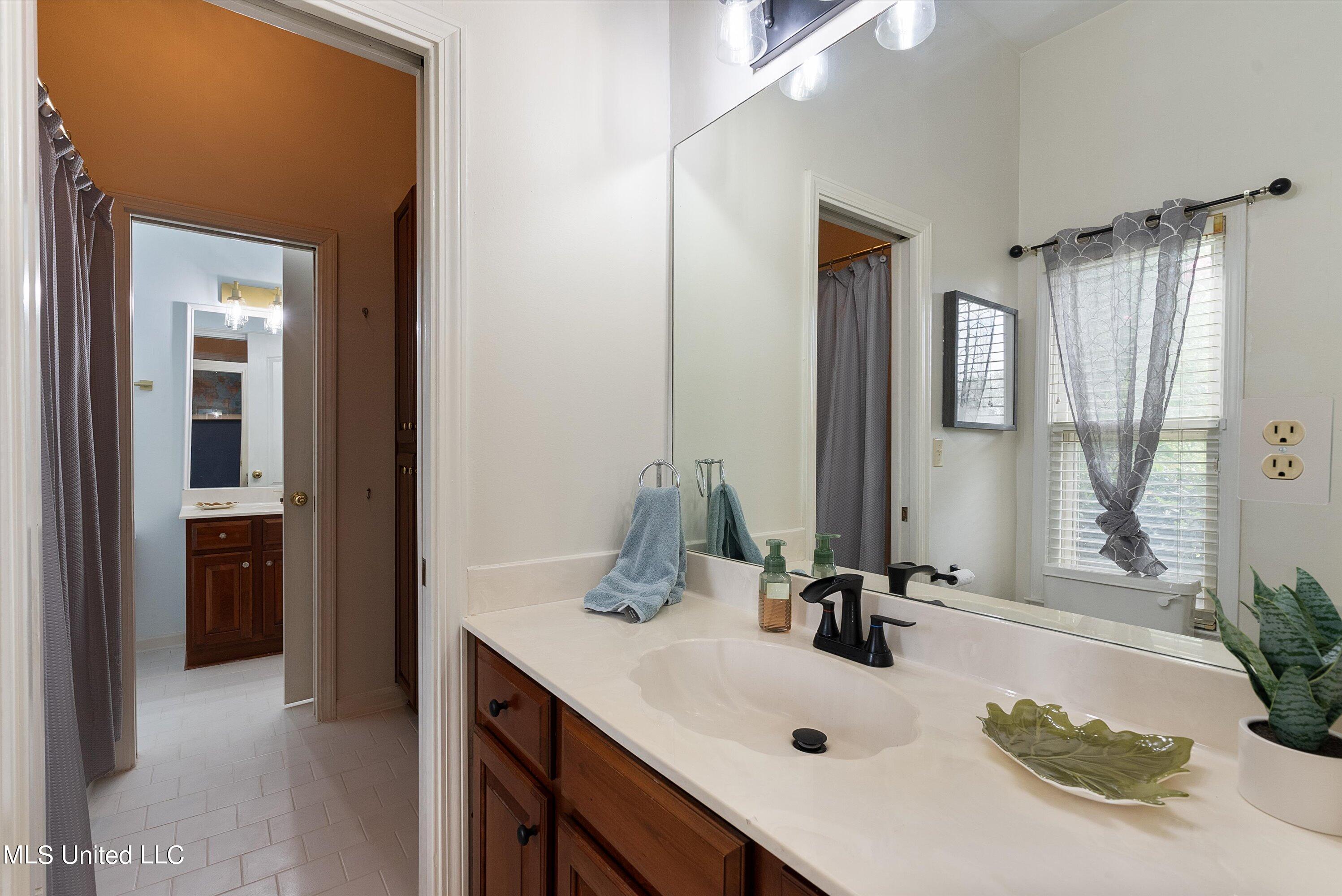 7738 Windersgate Circle, Olive Branch, Mississippi image 23