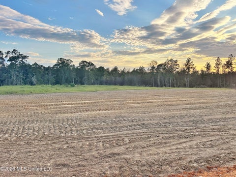 Vacant Land For Sale - LOT 12 Little Cedar Road<br/> Lucedale, MS 39452