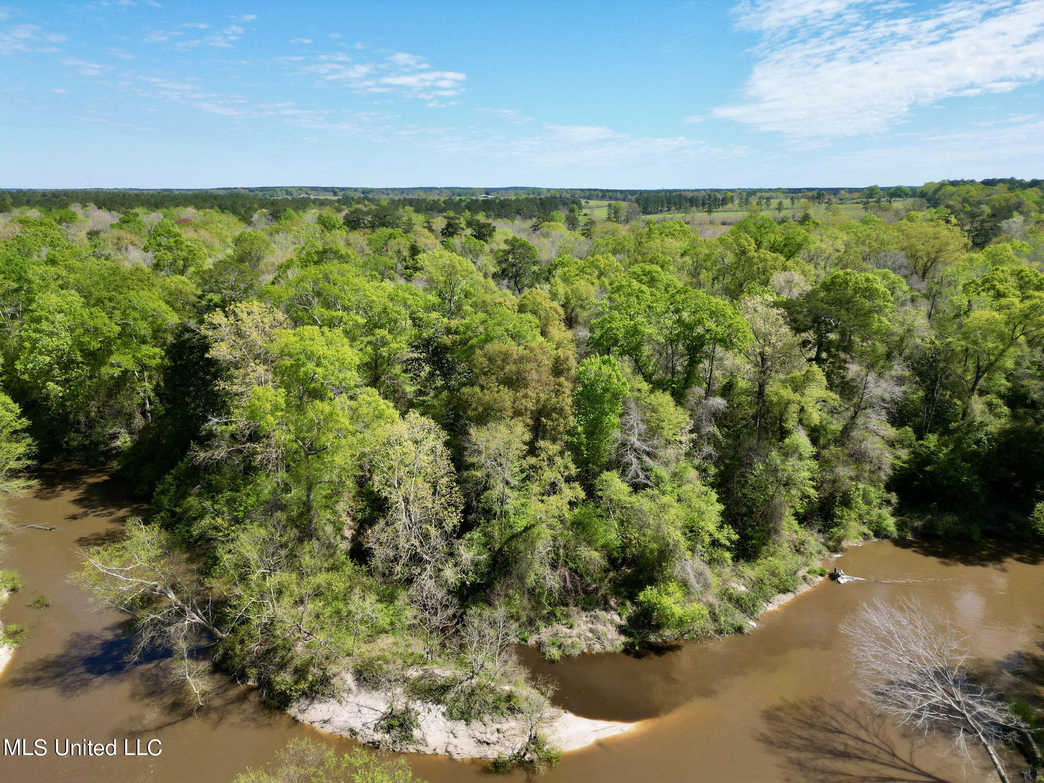 Egg Farm Road, Poplarville, Mississippi image 16