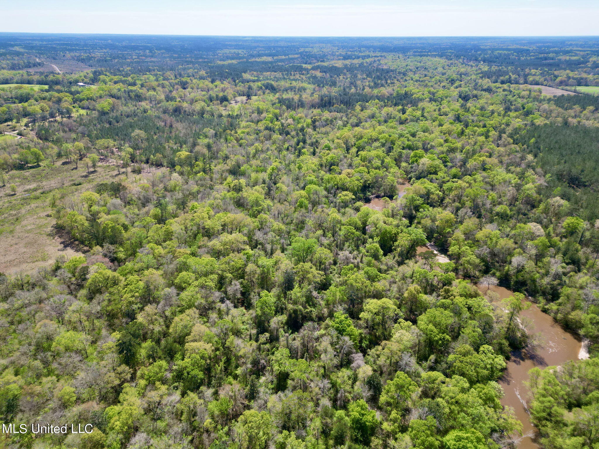 Egg Farm Road, Poplarville, Mississippi image 9