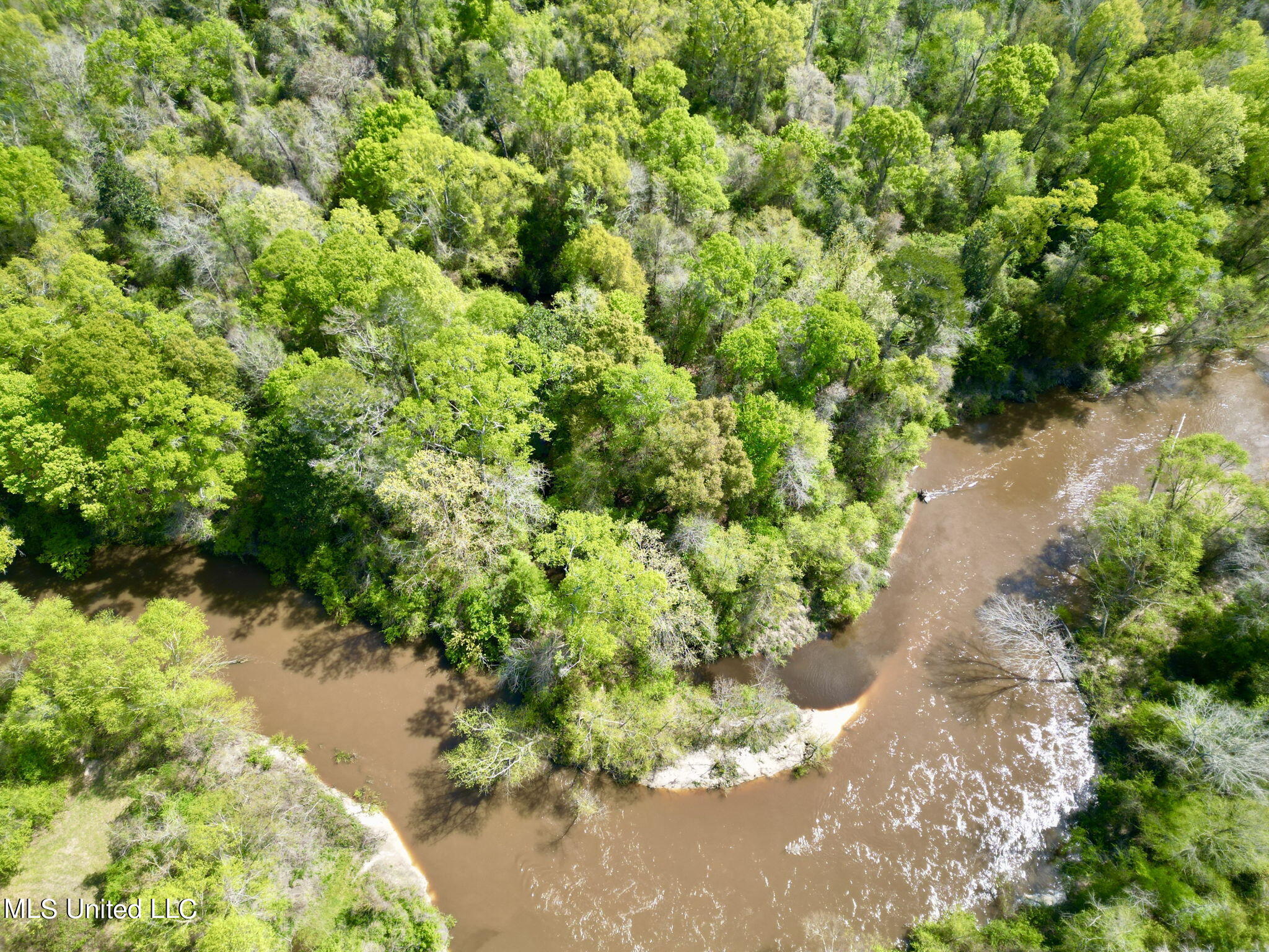 Egg Farm Road, Poplarville, Mississippi image 13