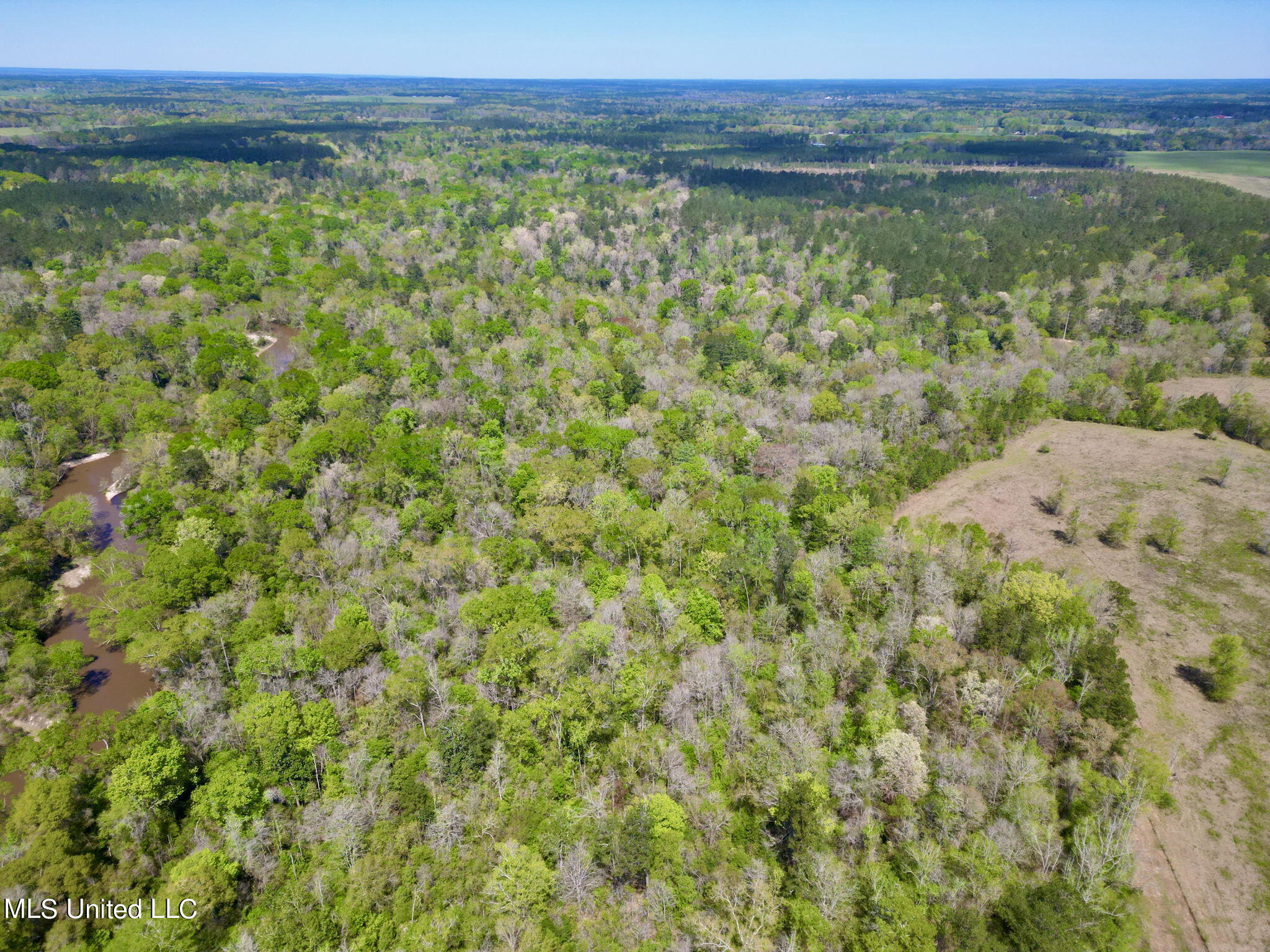 Egg Farm Road, Poplarville, Mississippi image 19