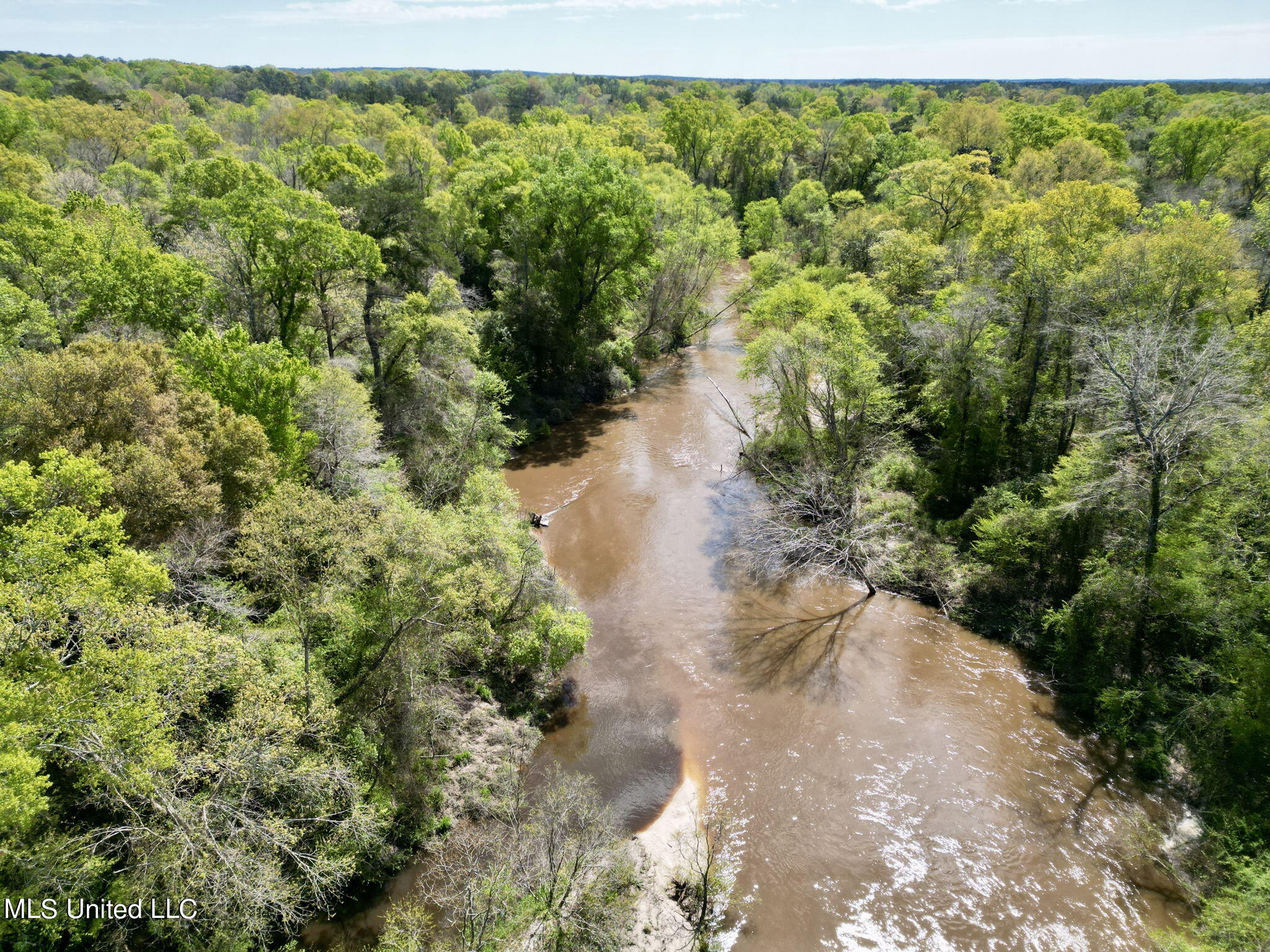 Egg Farm Road, Poplarville, Mississippi image 14