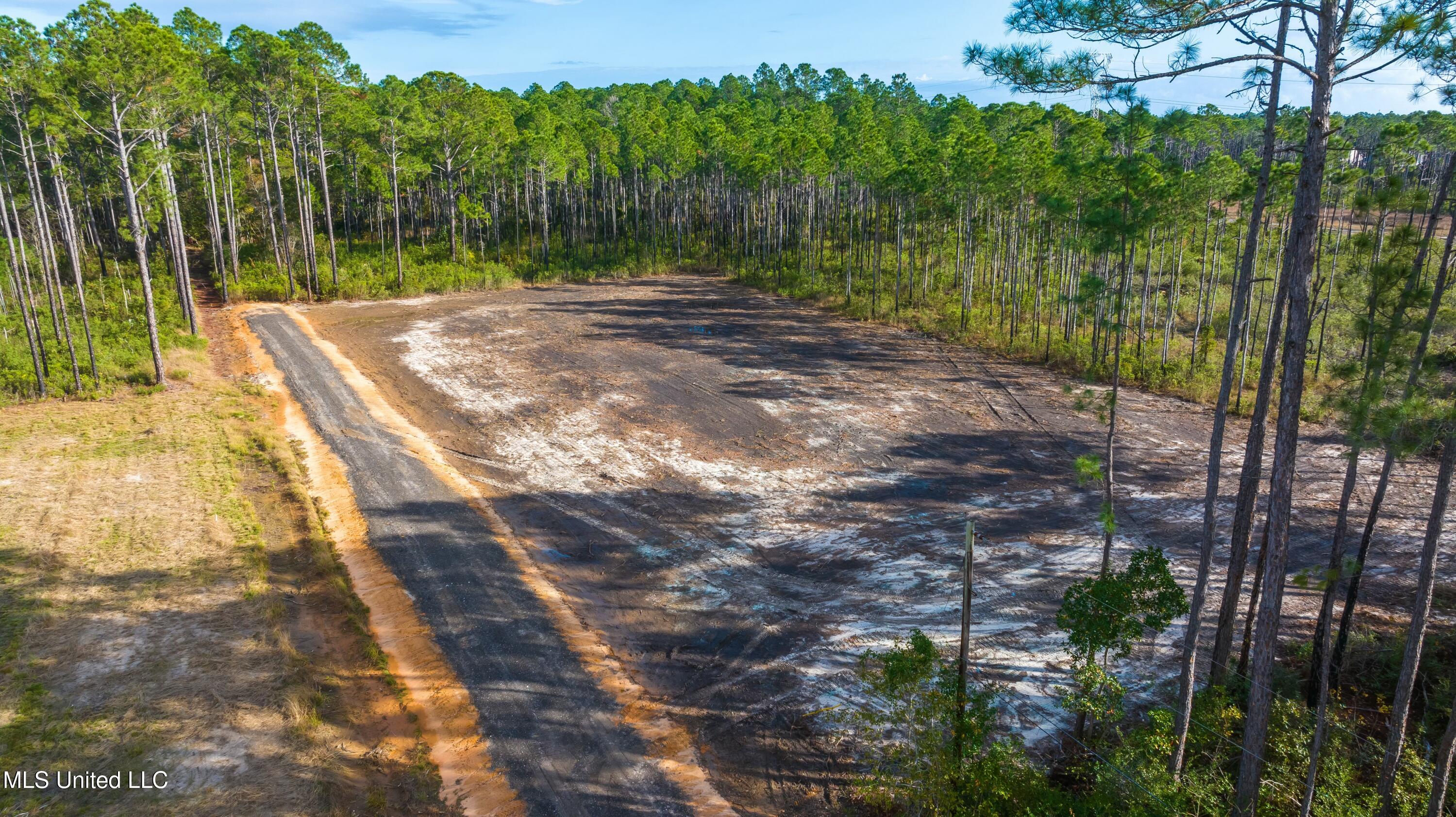 Holiday Drive, Ocean Springs, Mississippi image 6