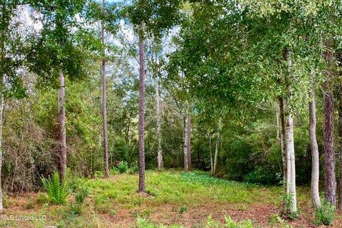 Vacant Land For Sale - 941 W Lakeshore Drive<br/> Carriere, MS 39426