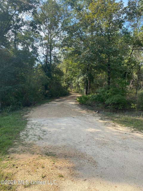 Vacant Land For Sale - 58 Grady Diamond Road<br/> Perkinston, MS 39573