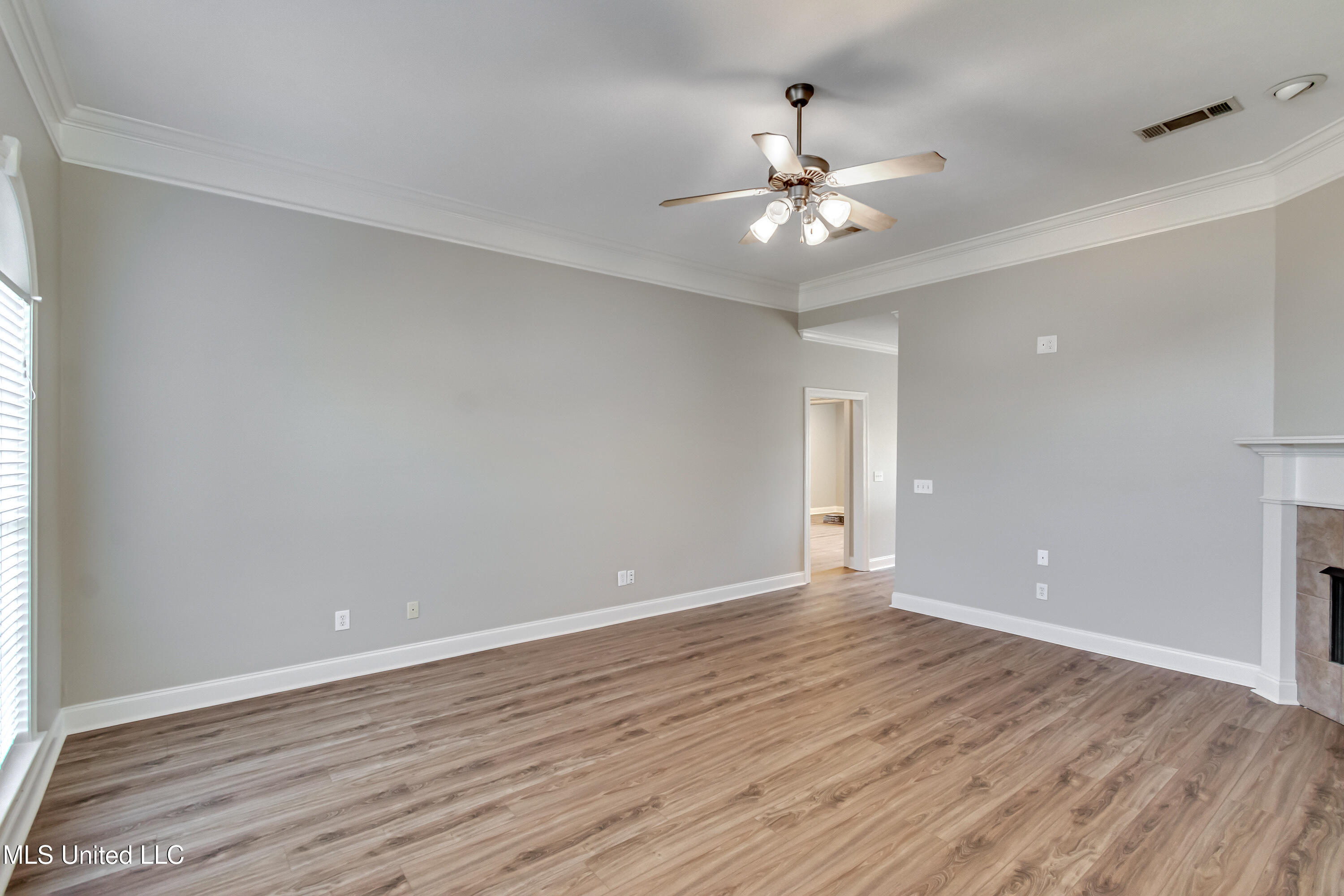 617 Mitchell Cove, Brandon, Mississippi image 4