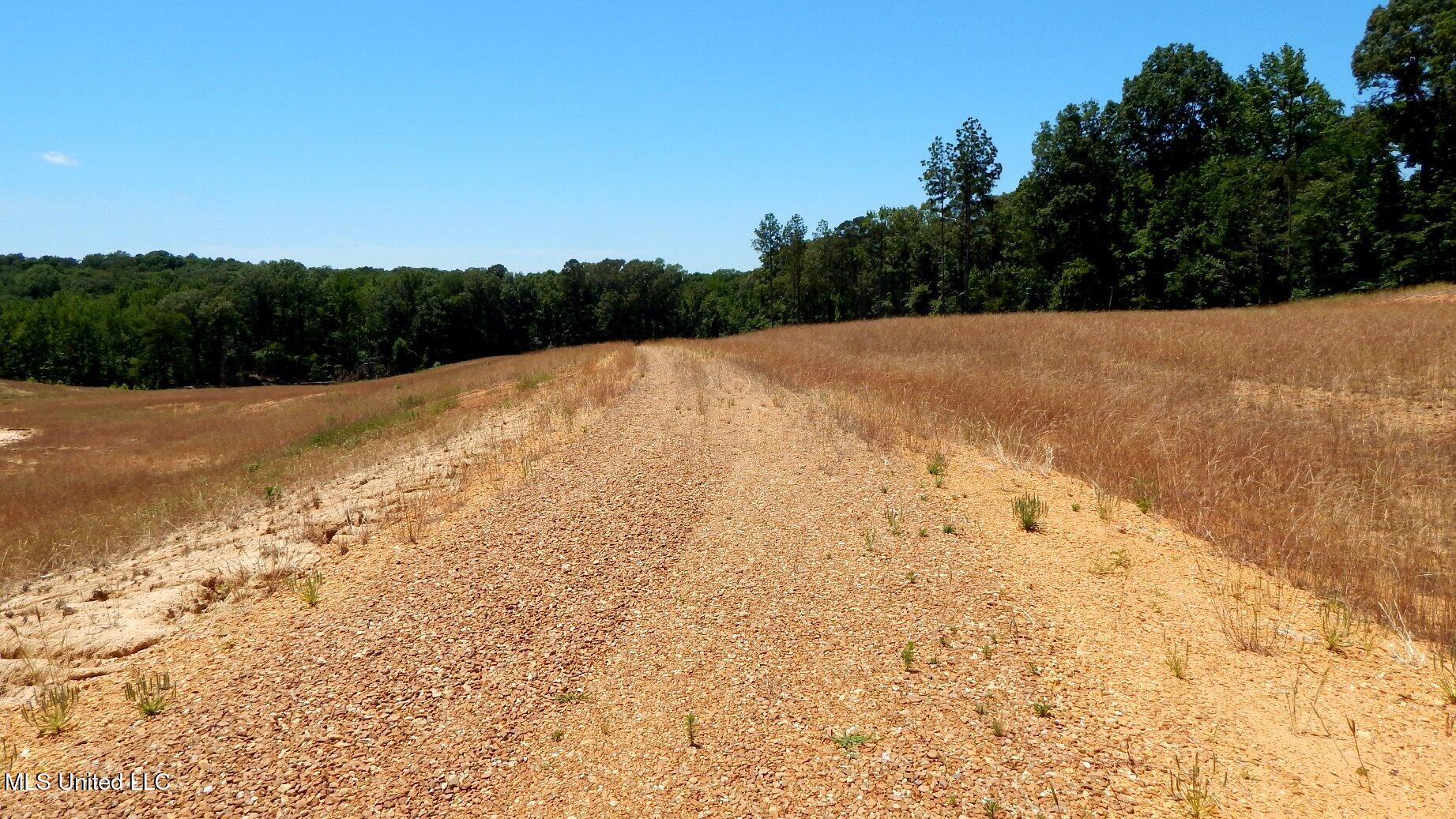 204 Hugh White State Park Road, Grenada, Mississippi image 3