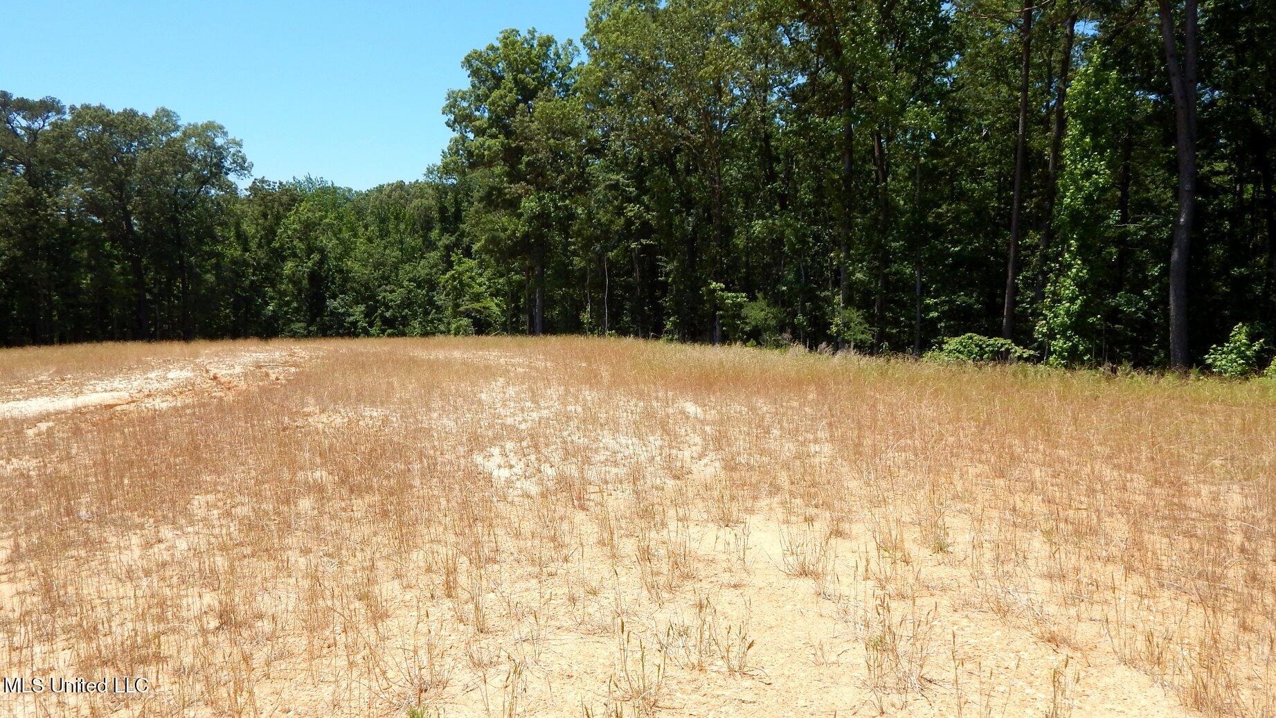 204 Hugh White State Park Road, Grenada, Mississippi image 1