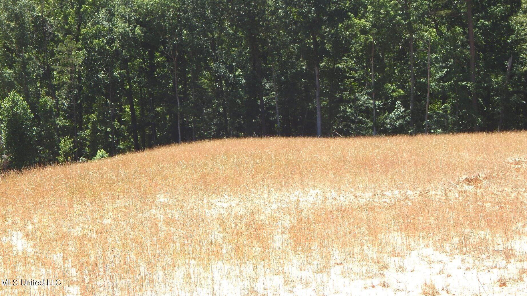 204 Hugh White State Park Road, Grenada, Mississippi image 4
