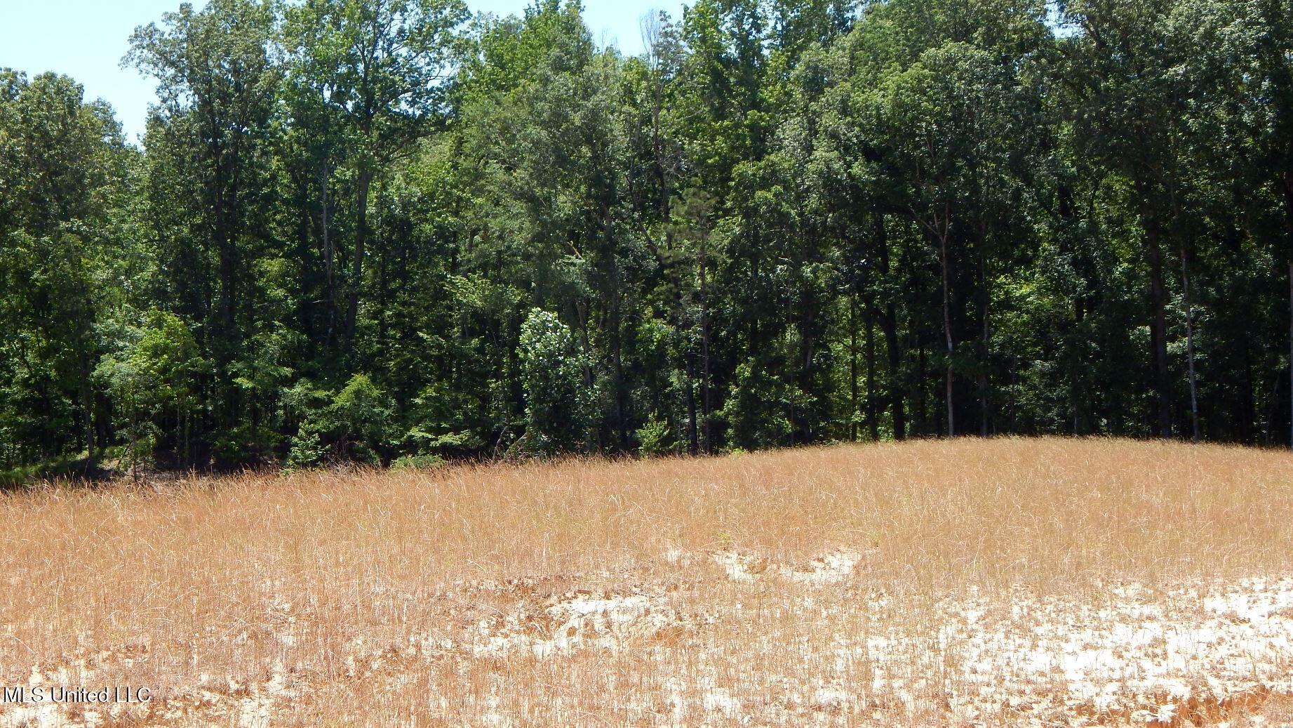 204 Hugh White State Park Road, Grenada, Mississippi image 2