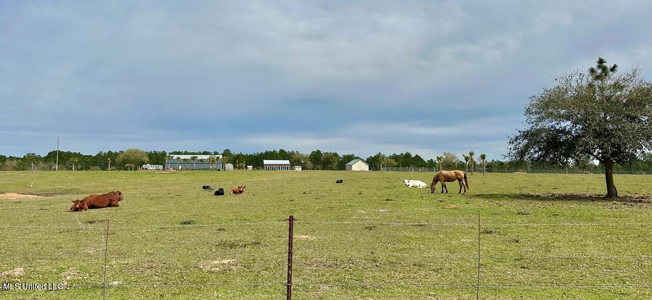 28193 J P Ladner Road, Pass Christian, Mississippi image 35