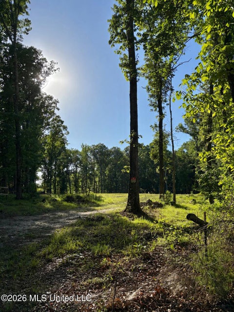 Vacant Land For Sale - 229 Barnes Road<br/> Rankin County, Florence, MS 39073