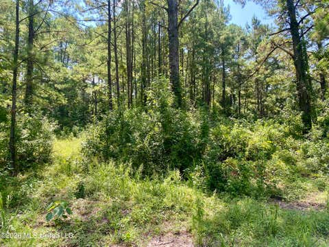 Vacant Land For Sale - XXX Clubhouse Drive<br/> Wiggins, MS 39577