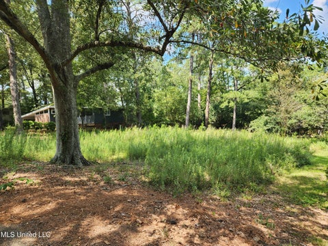 Vacant Land For Sale - 1766 Hillview Drive<br/> Hinds County, Jackson, MS 39211