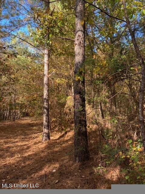 Plattsburg-mt Calvary Road, Noxapater, Mississippi image 8