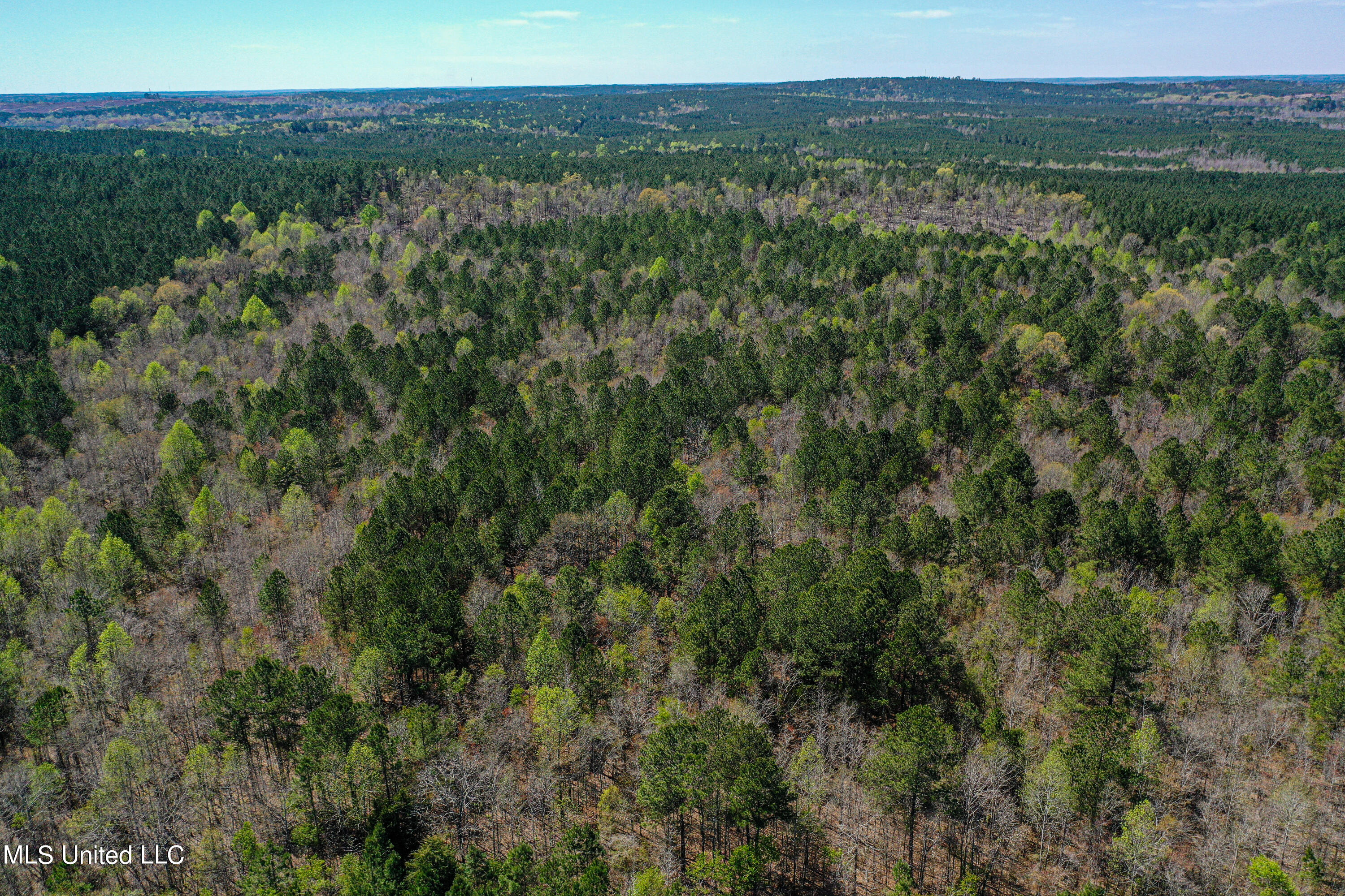 Plattsburg-mt Calvary Road, Noxapater, Mississippi image 1