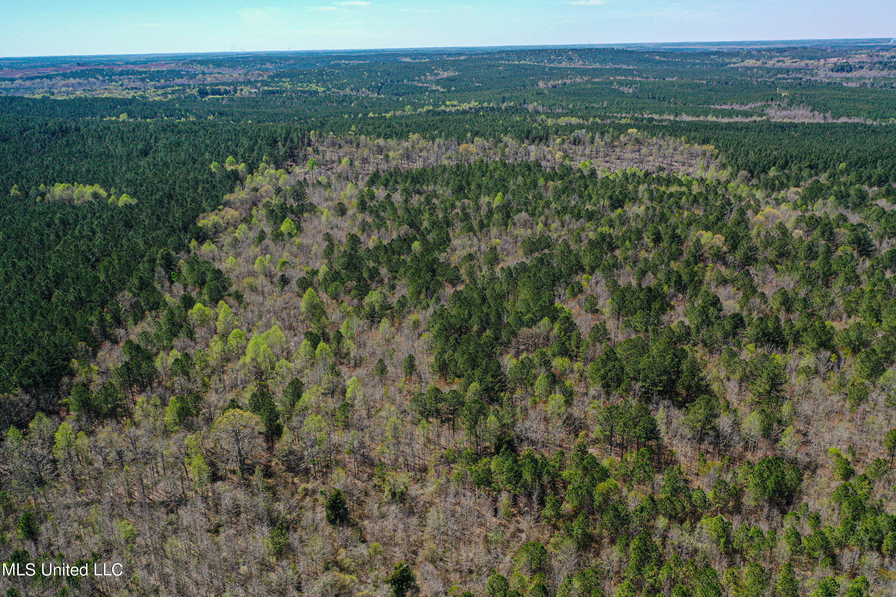 Plattsburg-mt Calvary Road, Noxapater, Mississippi image 2