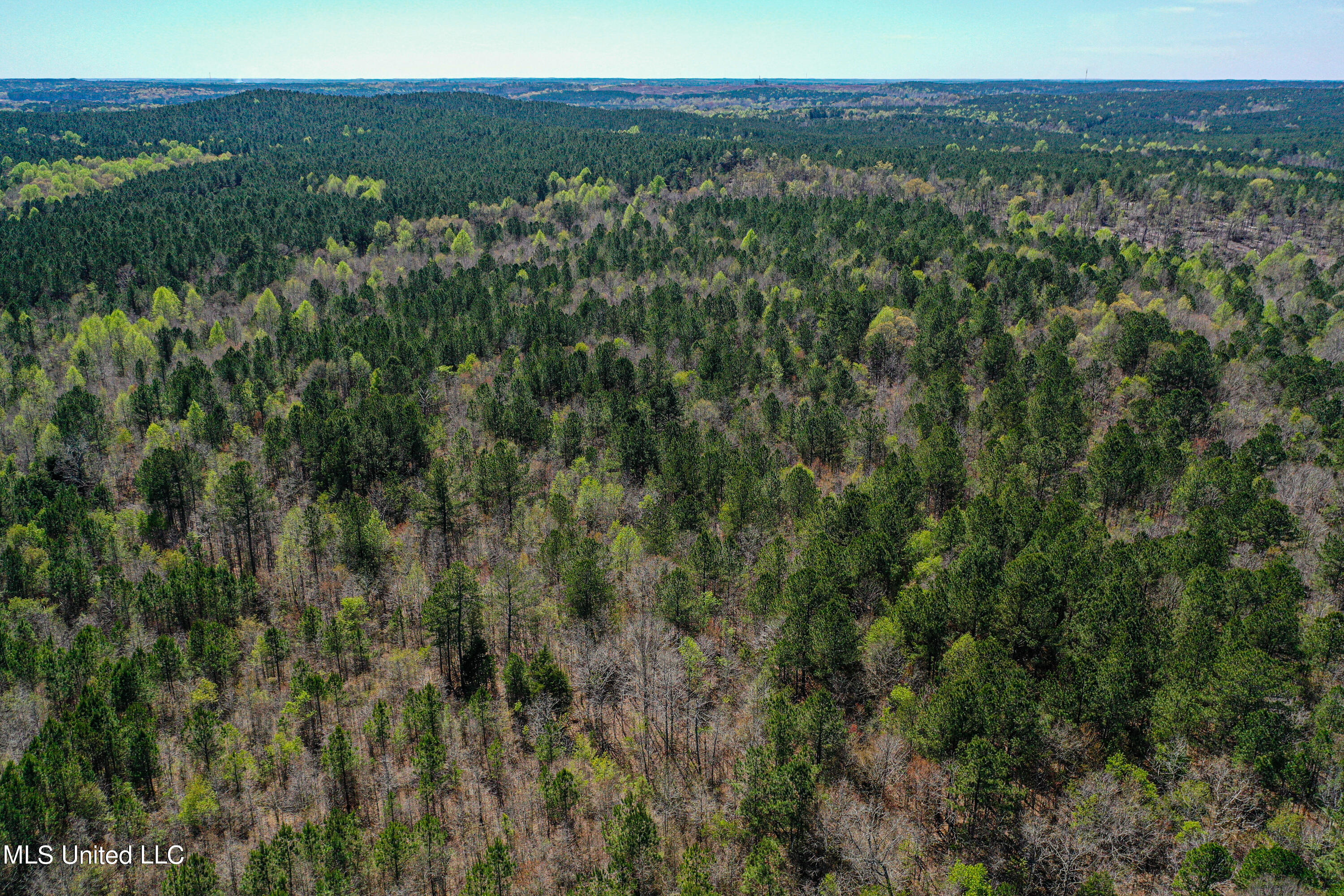 Plattsburg-mt Calvary Road, Noxapater, Mississippi image 3