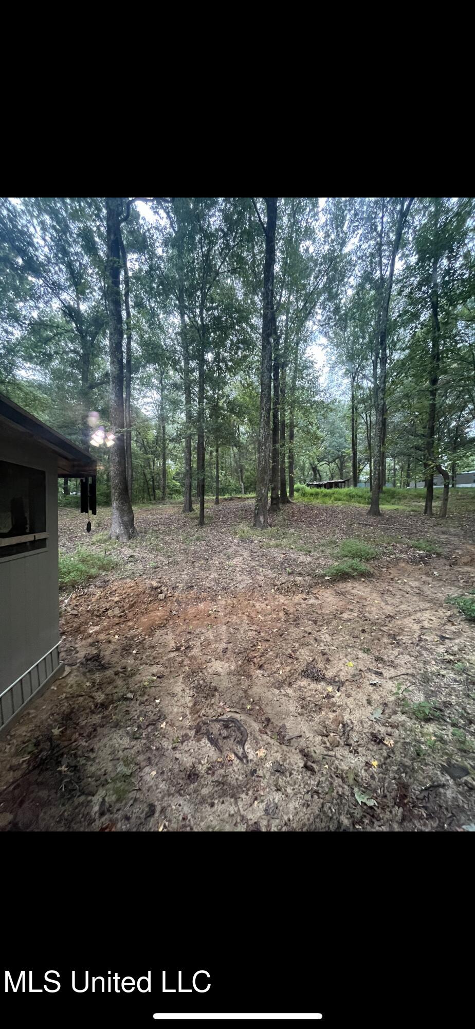 100 Green Road, Coldwater, Mississippi image 15
